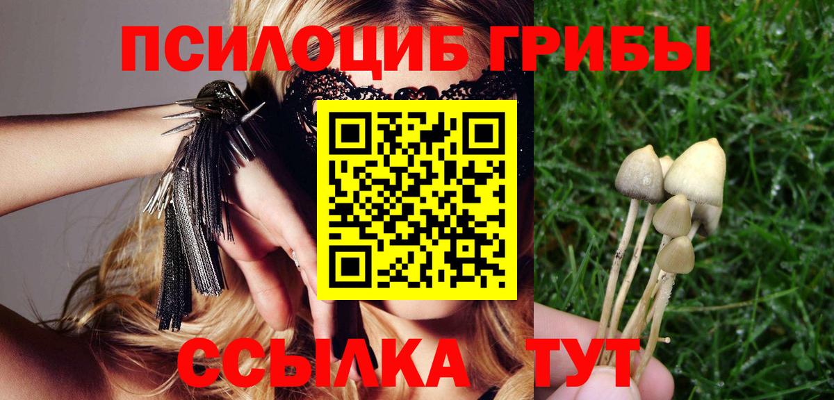 Галлюциногенные грибы ЛСД  Галлюциногенные грибы Psilocybine cubensis  Вход с VPN  Отрадное 