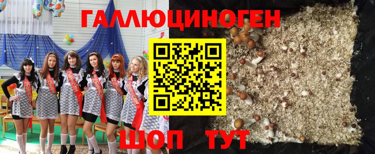 Галлюциногенные грибы GOLDEN TEACHER Отрадное
